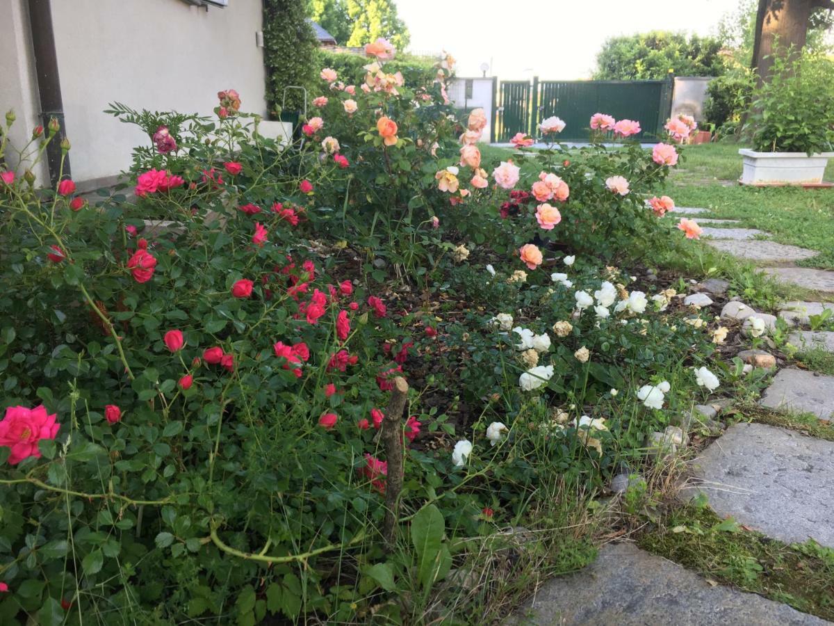 Elleboro Bed & Breakfast Carugo Bagian luar foto